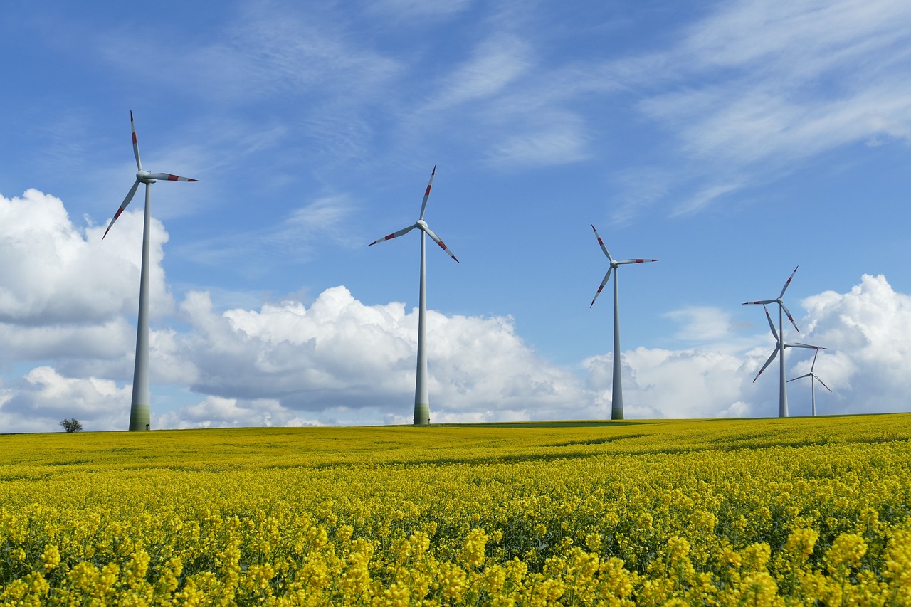 Énergie renouvelable : quand le Portugal produit 100 % d’électricité verte !