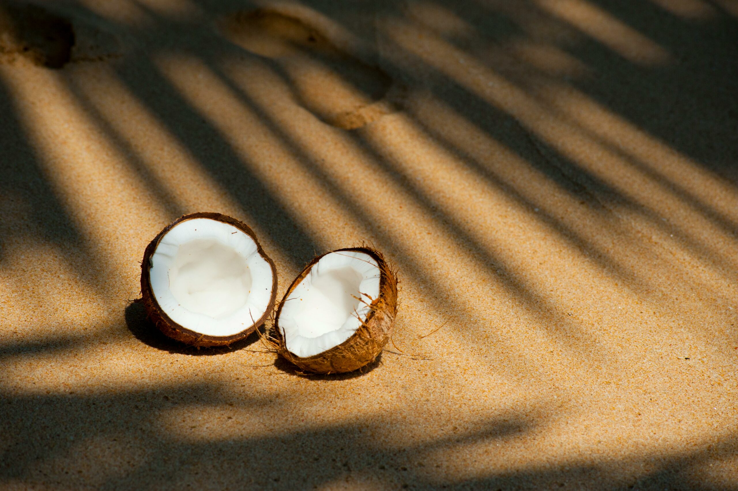 Cette entreprise transforme les noix de coco en isolant thermique !