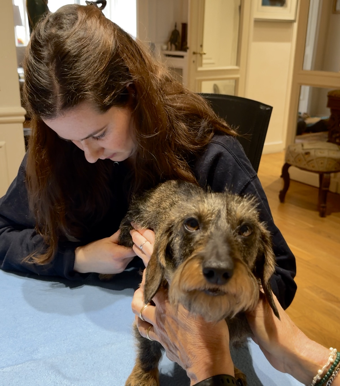 Métier insolite : Chloé est une ostéopathe au service des animaux !