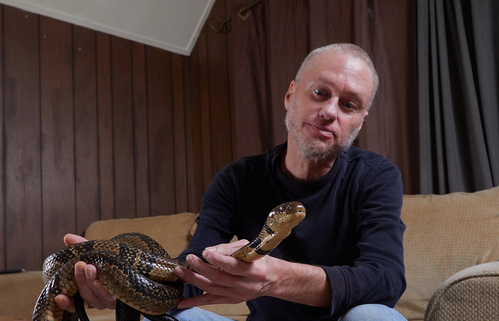 Cet Américain s’est laissé mordre 200 fois par des serpents ! 
