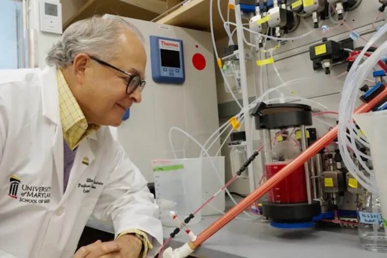Du sang artificiel en une minute : une révolution médicale