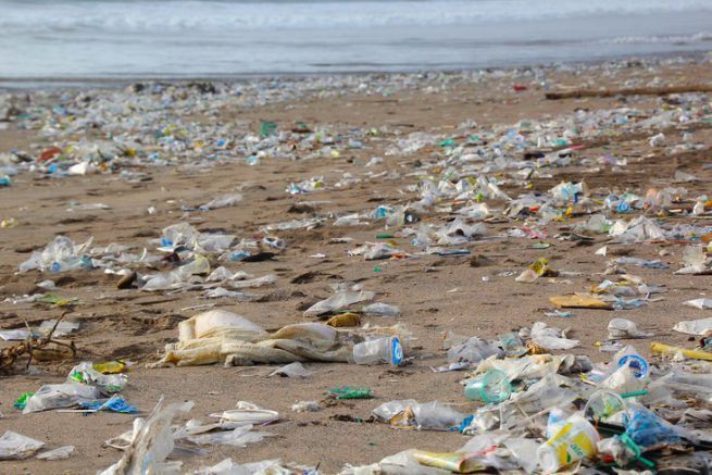La décennie gagnante contre les sacs plastiques !