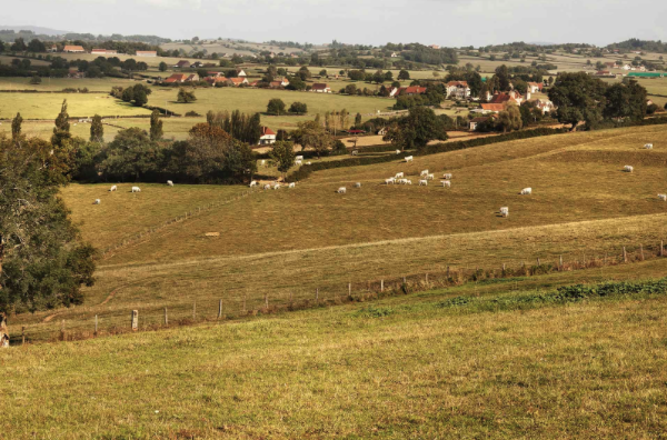 L’agriculture circulaire : produire localement tout en préservant la nature