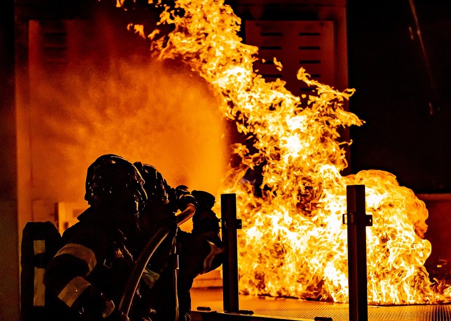 Ce ver marin pourrait soigner les victimes du Crans-Montana