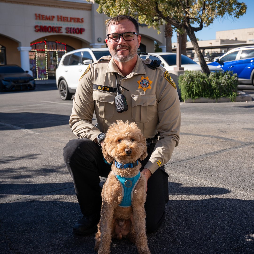 Abandonné, ce chien a été adopté par son sauveur